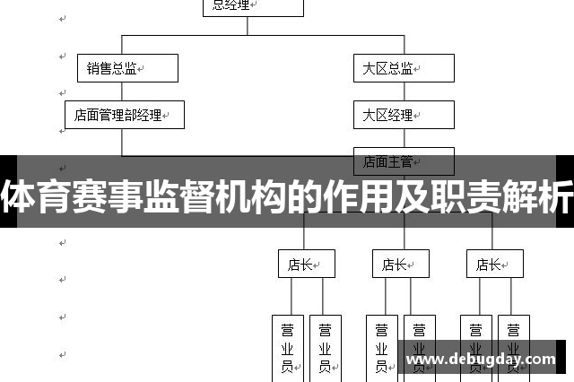 体育赛事监督机构的作用及职责解析